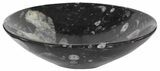 Fossil Orthoceras Bowl - Stoneware #51454-1